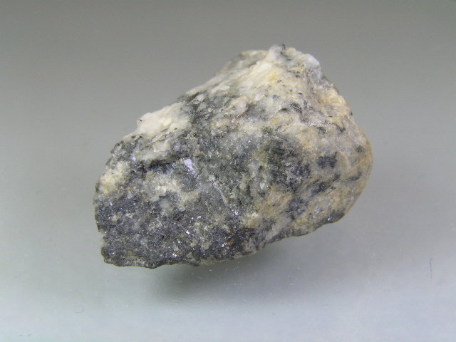 t52s a008.jpg